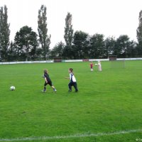 10_minipups_training